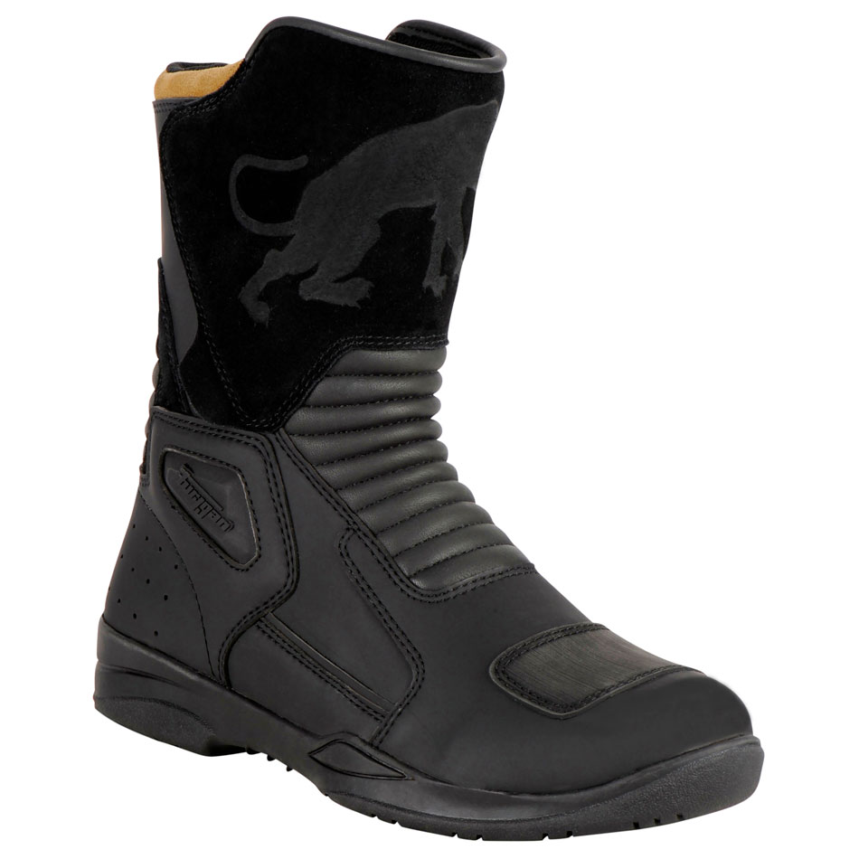 00P_3131_1_vignettes_1_3131-1_2_1757514422